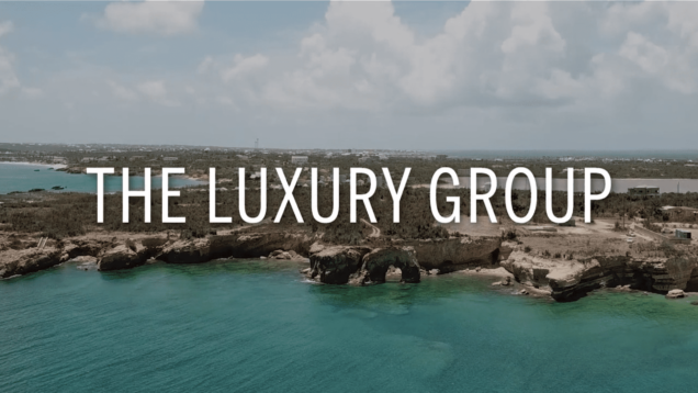 The Luxury Group